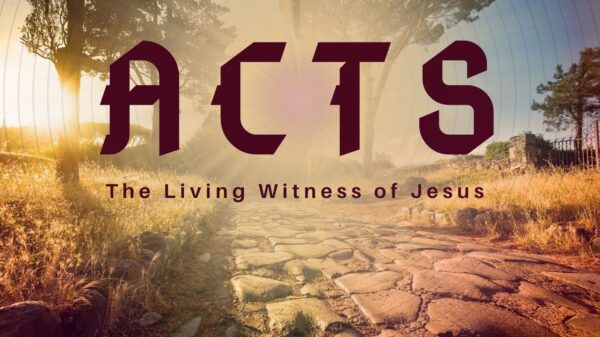 Devoted Witnesses (Acts 2:41-47) Image